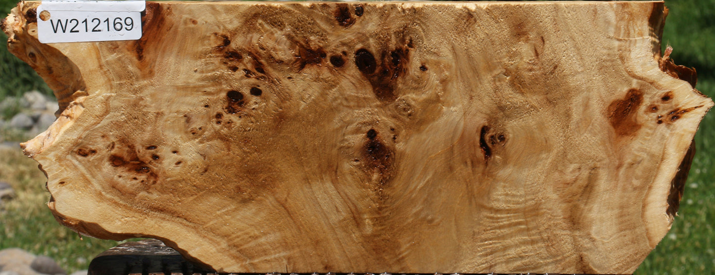 Extra Fancy Mappa Burl Live Edge Lumber