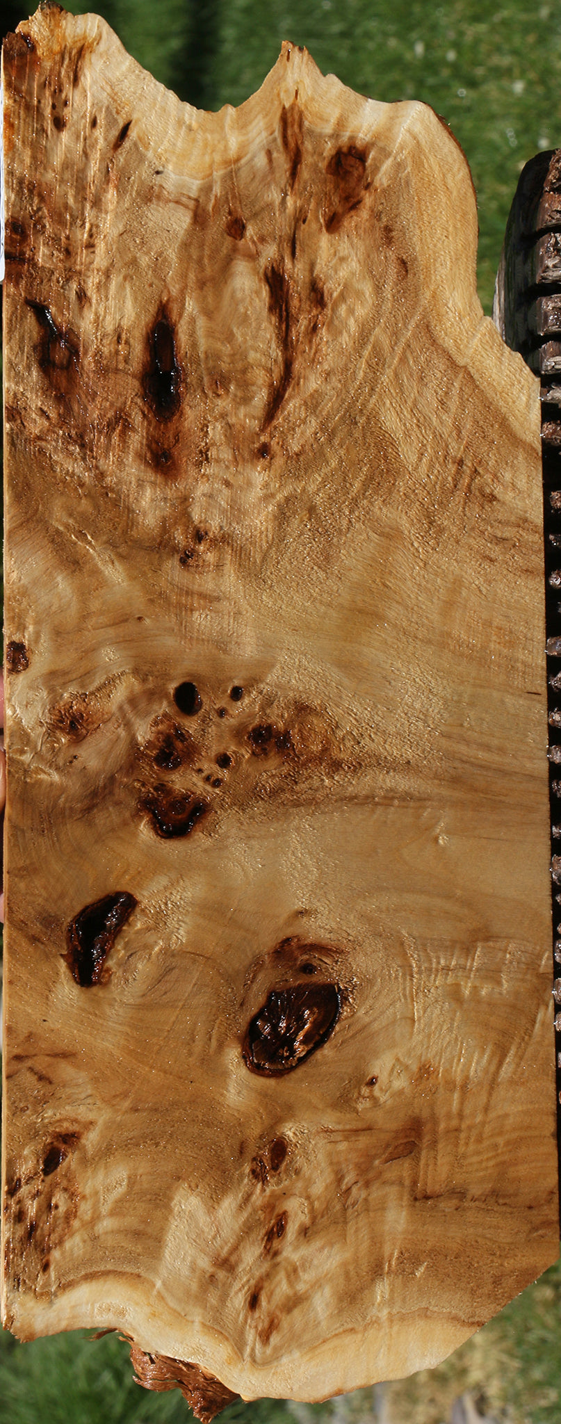 Extra Fancy Mappa Burl Live Edge Lumber