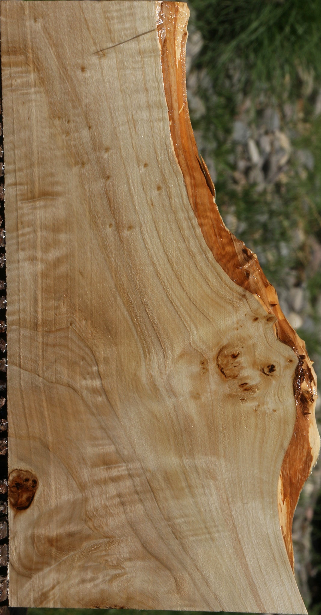 Extra Fancy Mappa Burl Live Edge Lumber