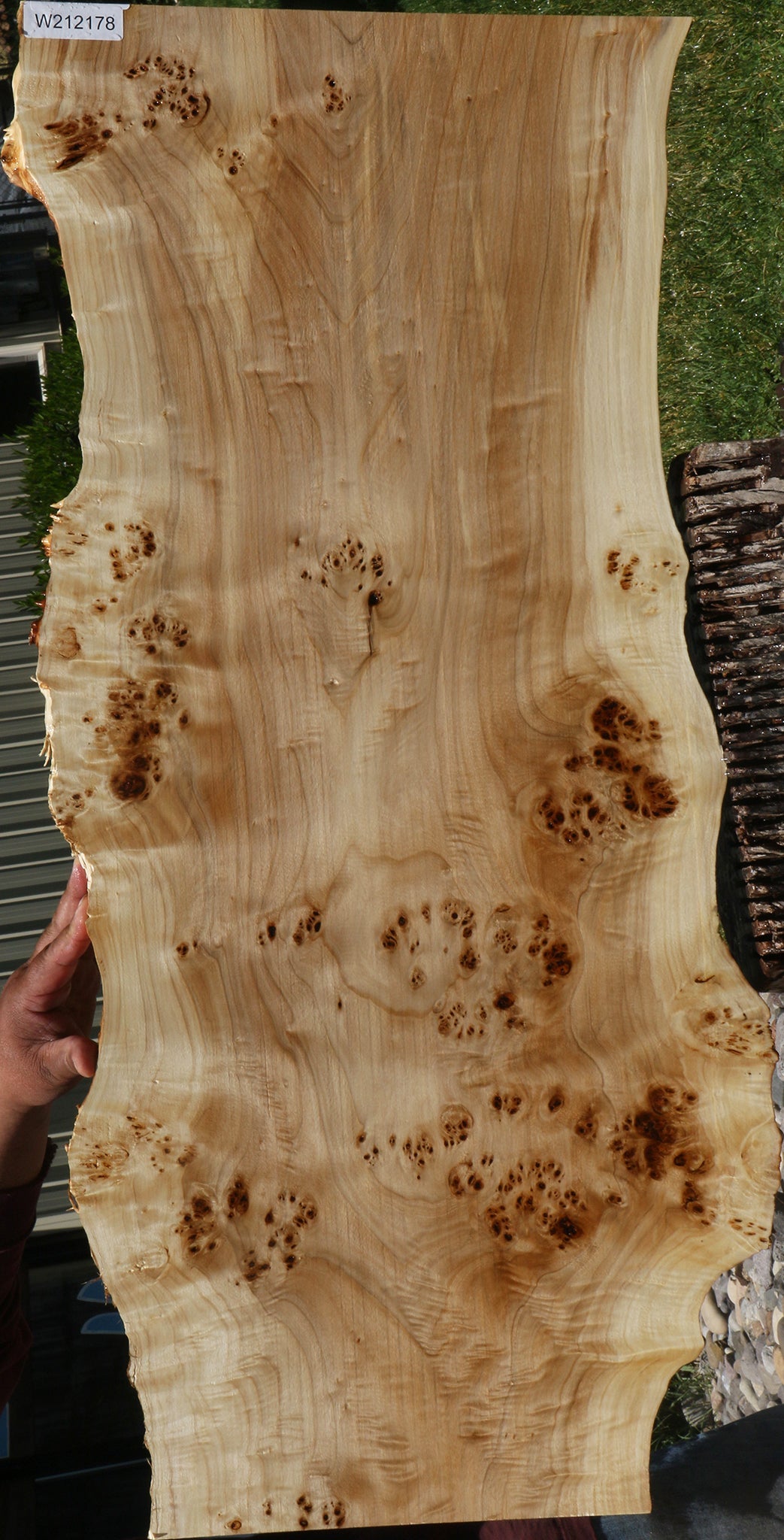 Extra Fancy Mappa Burl Live Edge Lumber