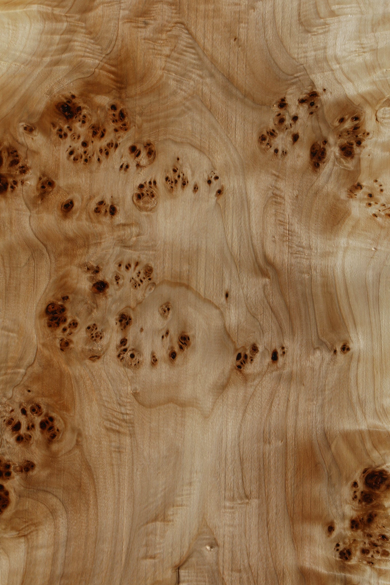 Extra Fancy Mappa Burl Live Edge Lumber