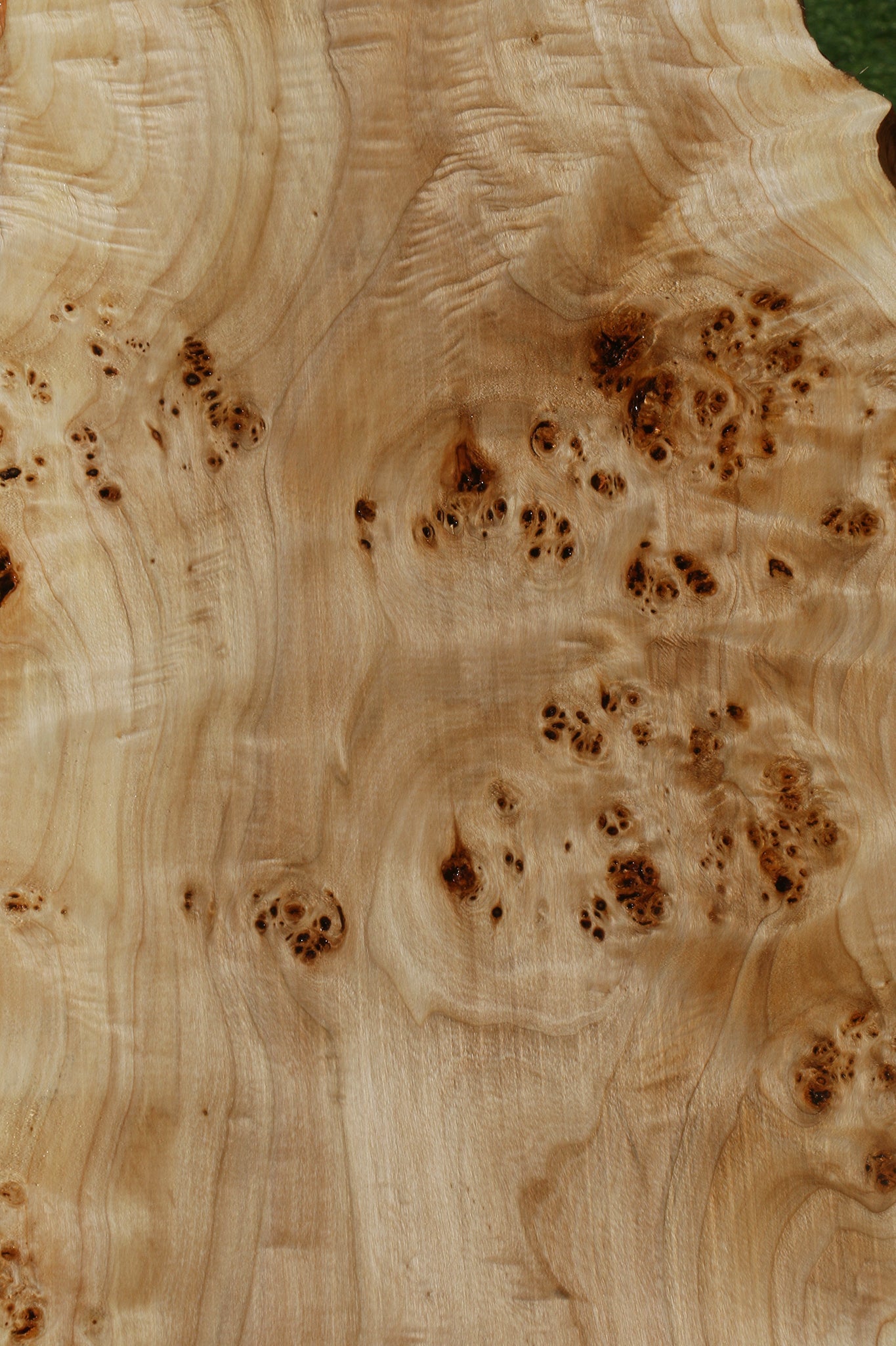 Extra Fancy Mappa Burl Live Edge Lumber