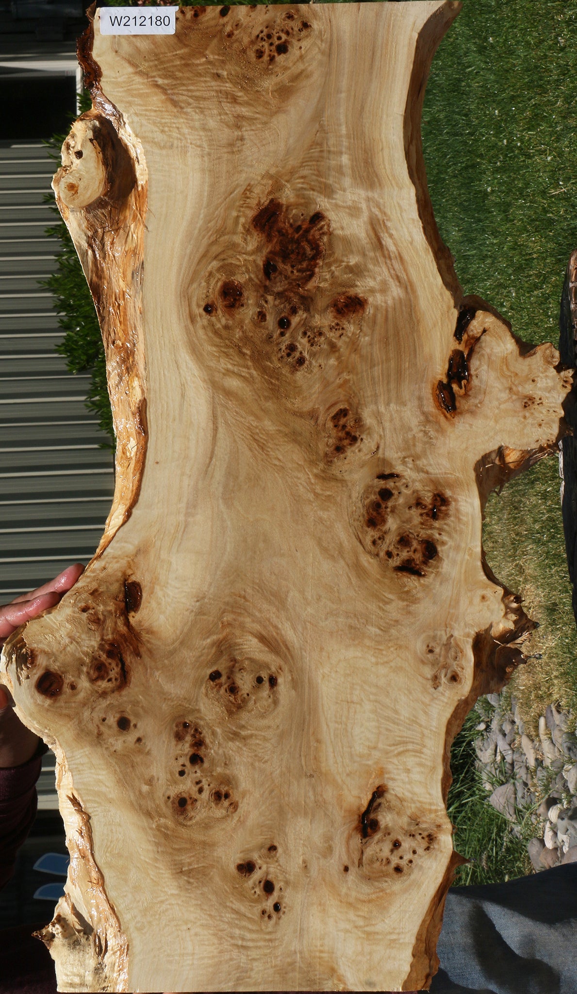 Extra Fancy Mappa Burl Live Edge Lumber