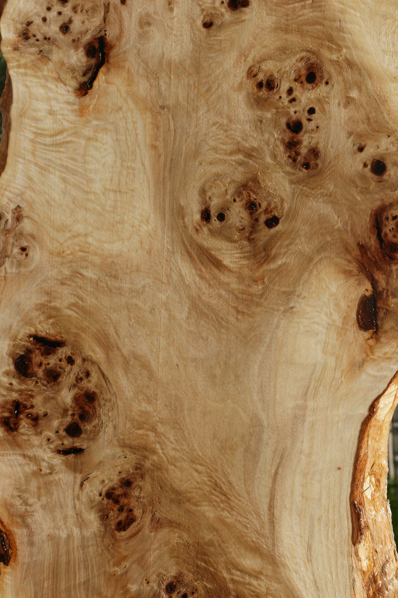 Extra Fancy Mappa Burl Live Edge Lumber