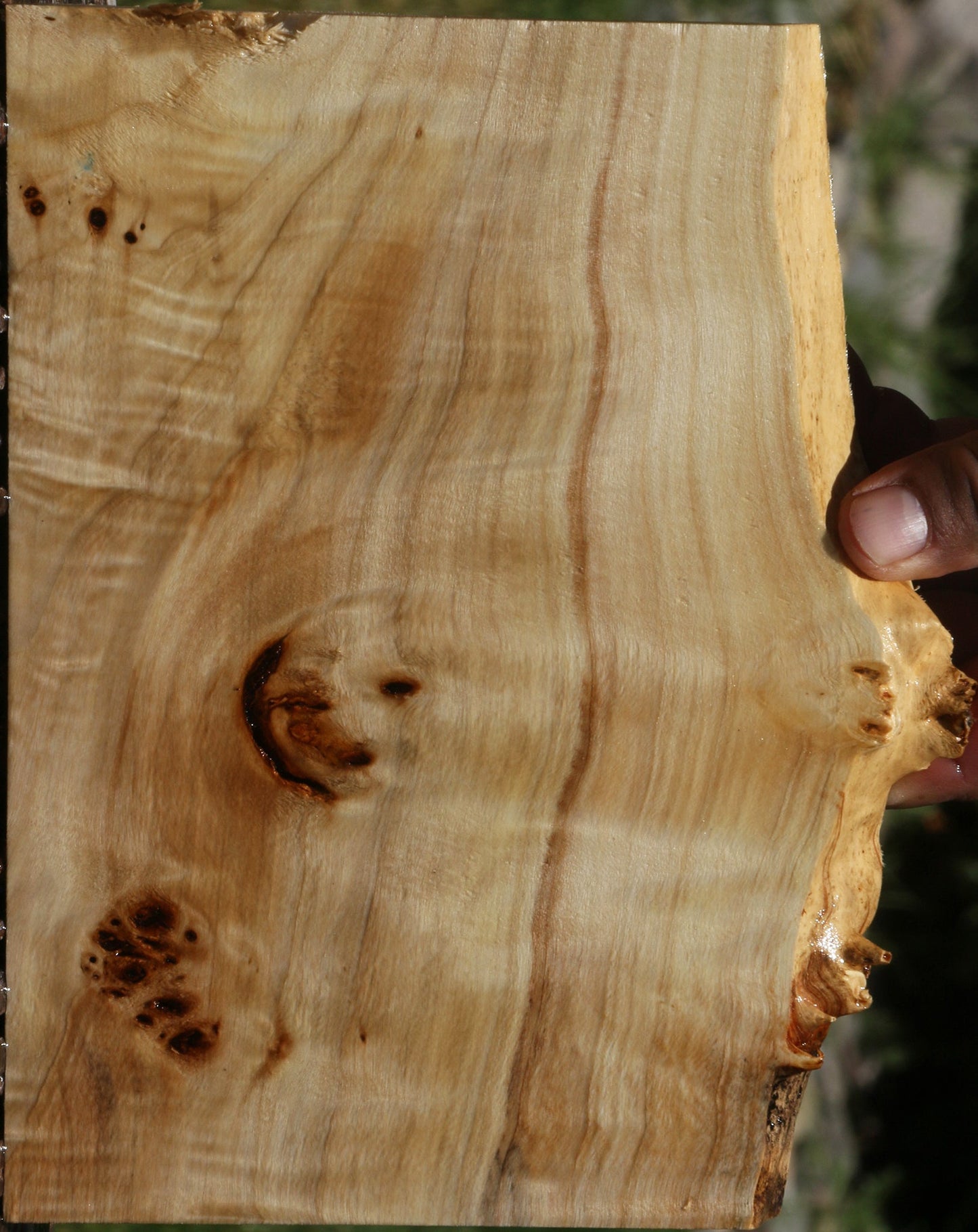 Extra Fancy Mappa Burl Live Edge Lumber