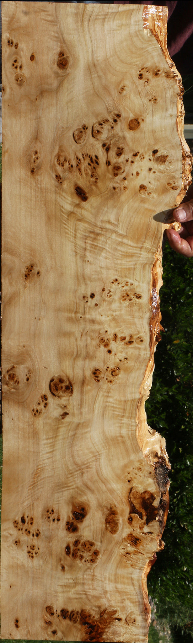 Extra Fancy Mappa Burl Live Edge Lumber