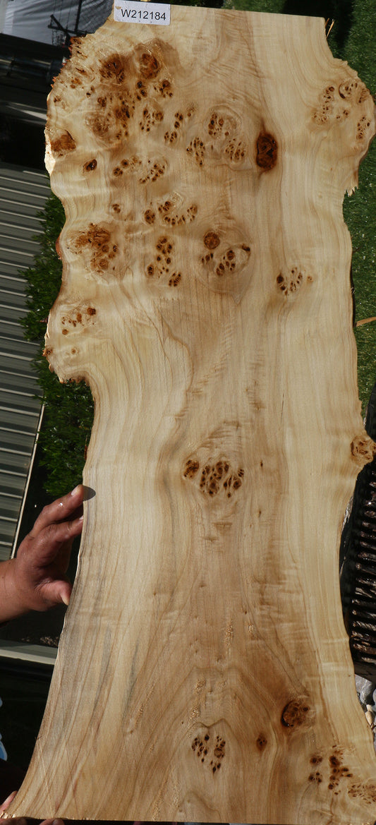 Extra Fancy Mappa Burl Live Edge Lumber