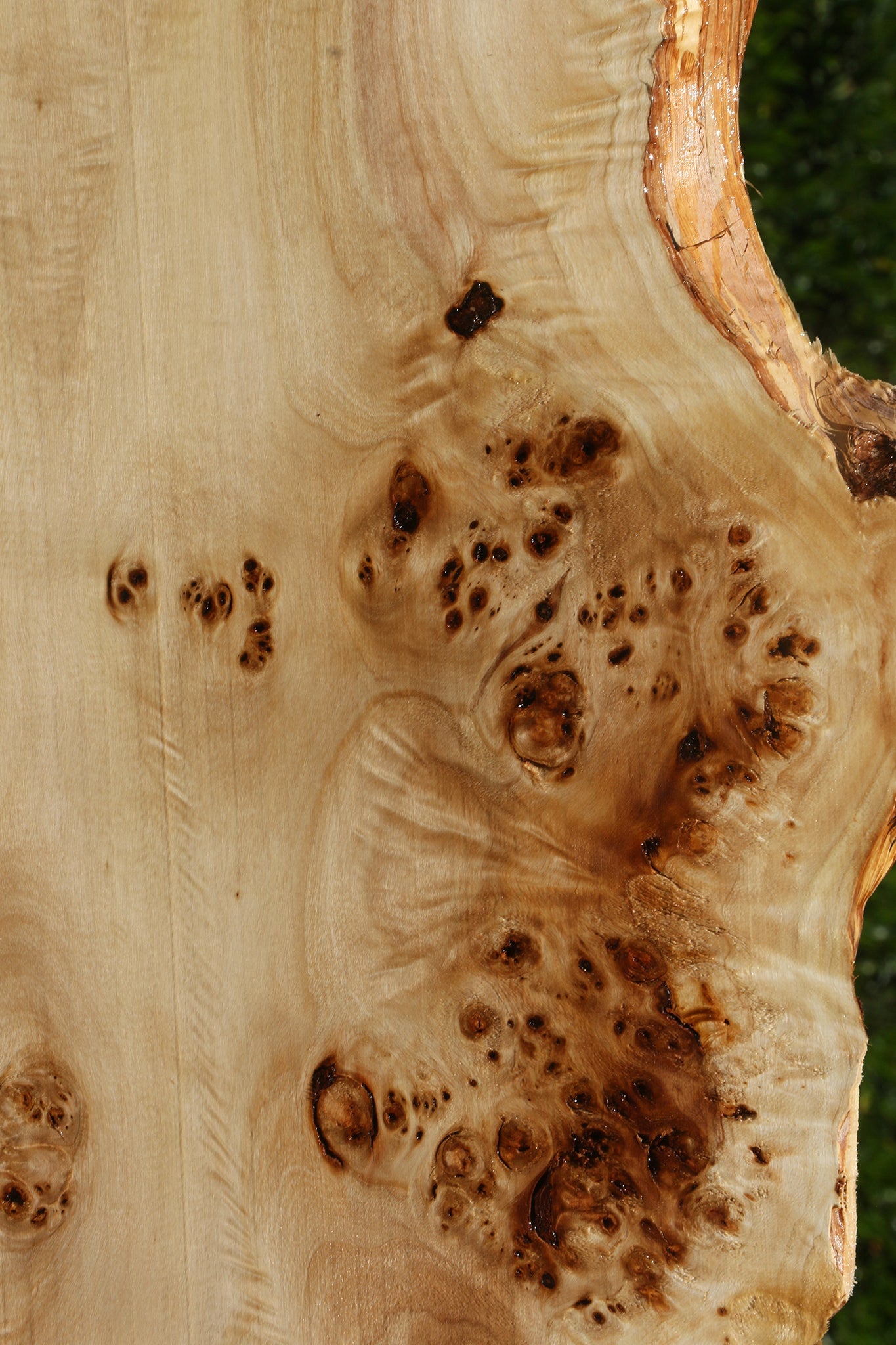 Extra Fancy Mappa Burl Live Edge Lumber