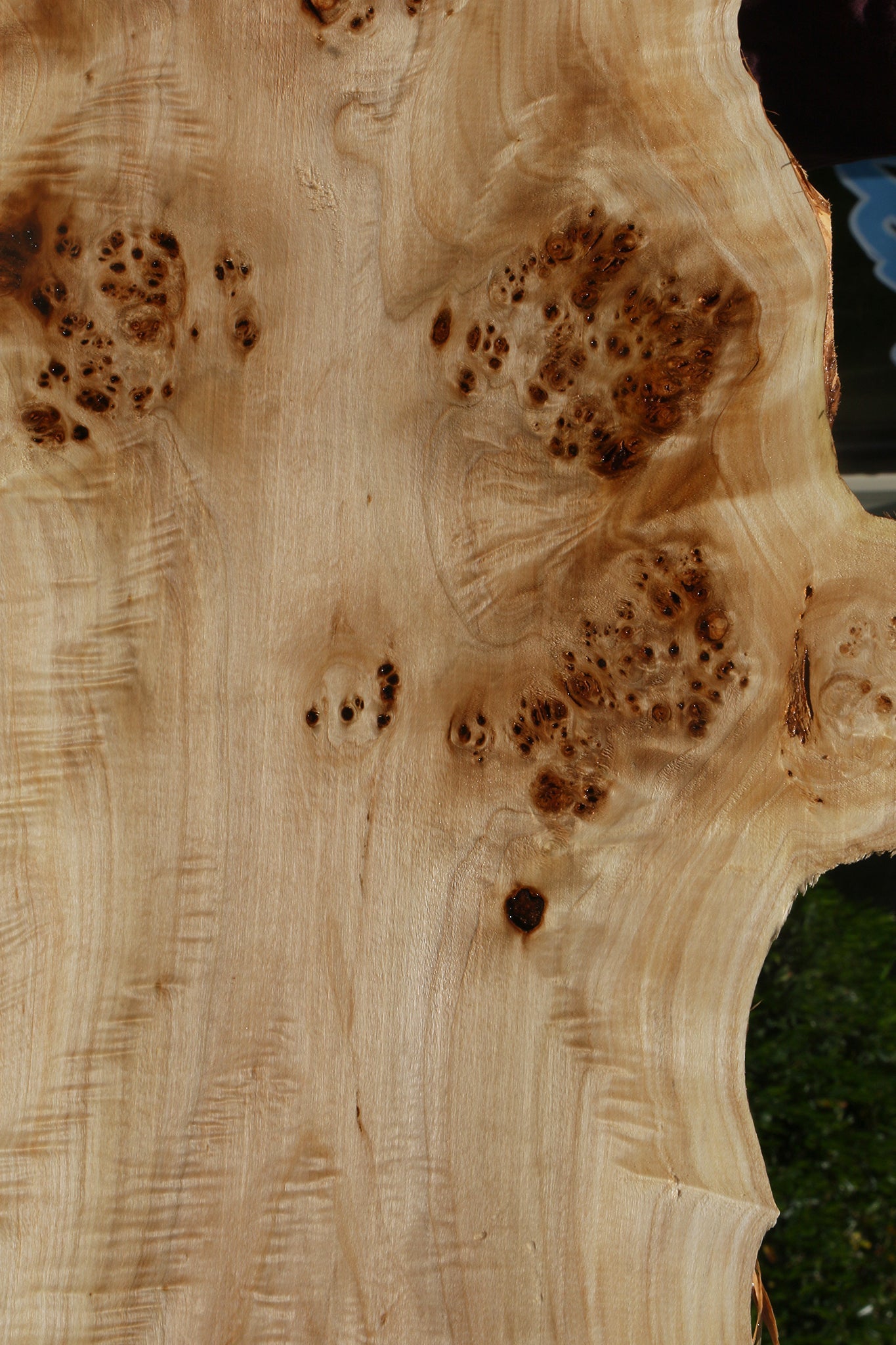 Extra Fancy Mappa Burl Live Edge Lumber