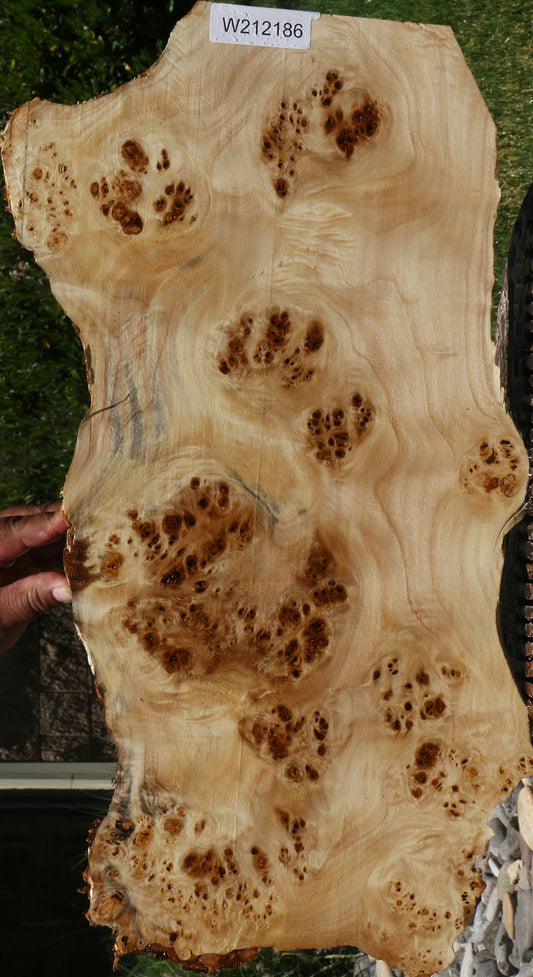 Extra Fancy Mappa Burl Live Edge Lumber