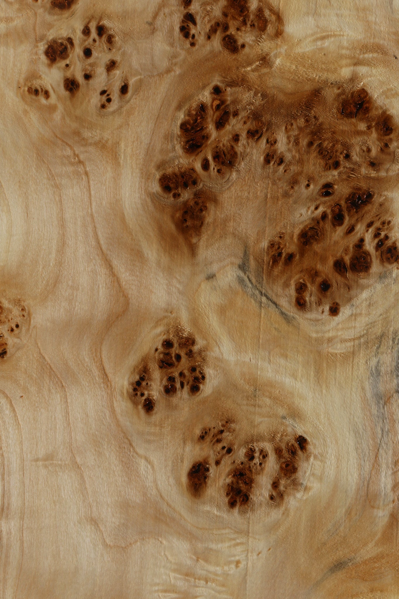 Extra Fancy Mappa Burl Live Edge Lumber