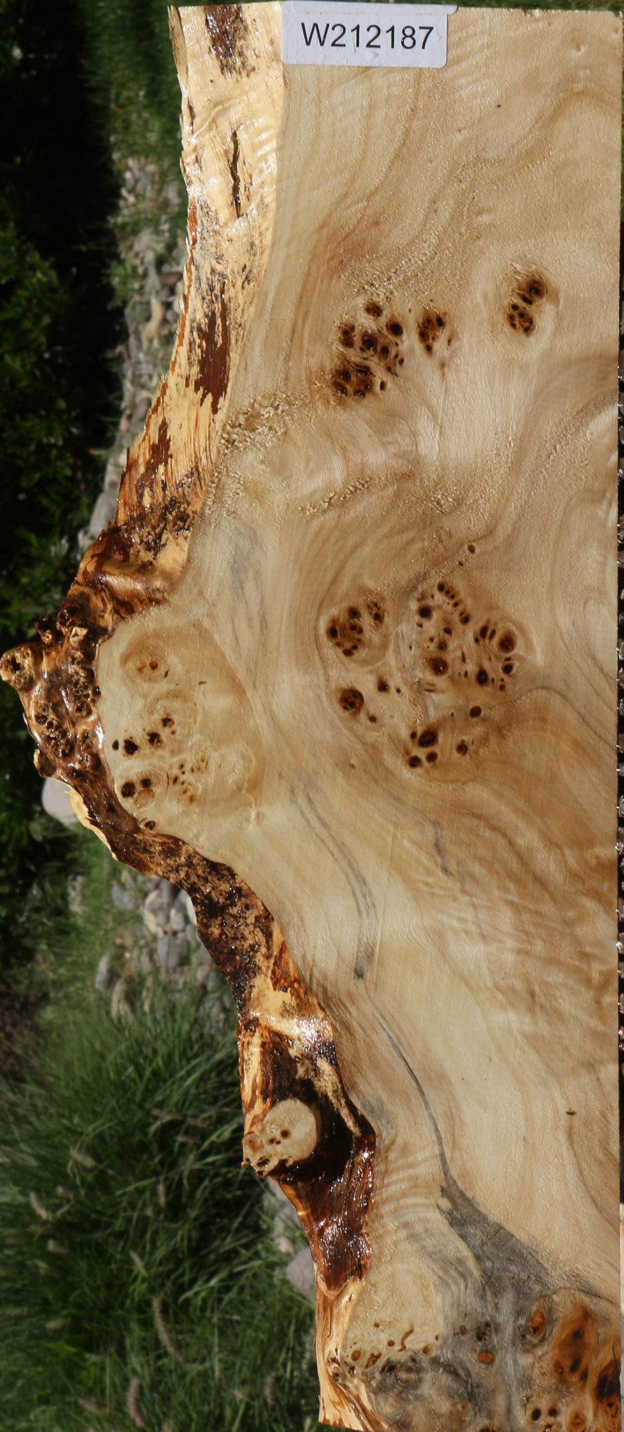 Extra Fancy Mappa Burl Live Edge Lumber