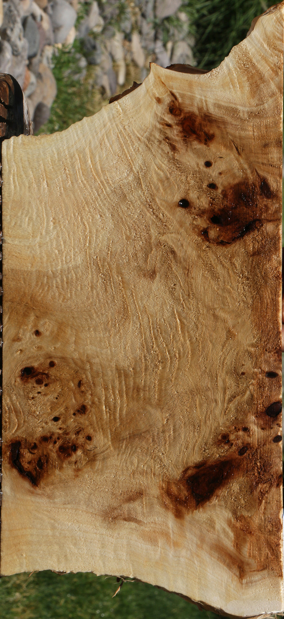 Extra Fancy Mappa Burl Live Edge Lumber