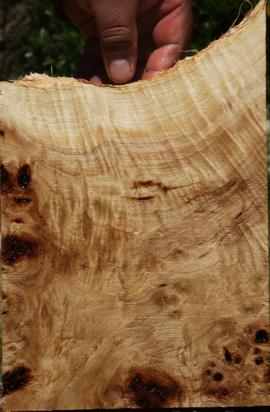 Extra Fancy Mappa Burl Live Edge Lumber