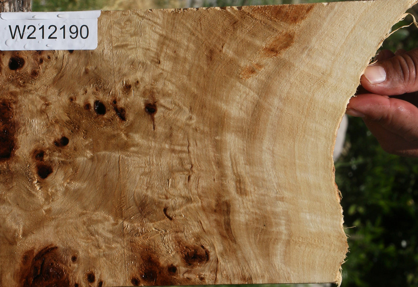 Extra Fancy Mappa Burl Live Edge Lumber