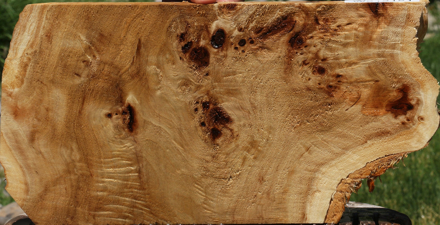 Extra Fancy Mappa Burl Live Edge Lumber