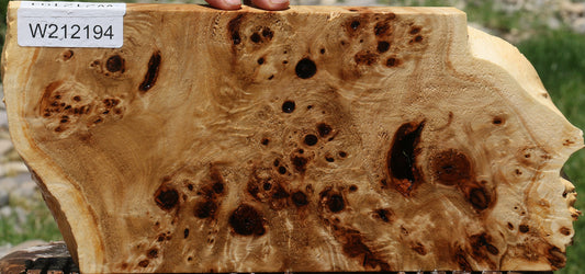 Extra Fancy Mappa Burl Live Edge Lumber