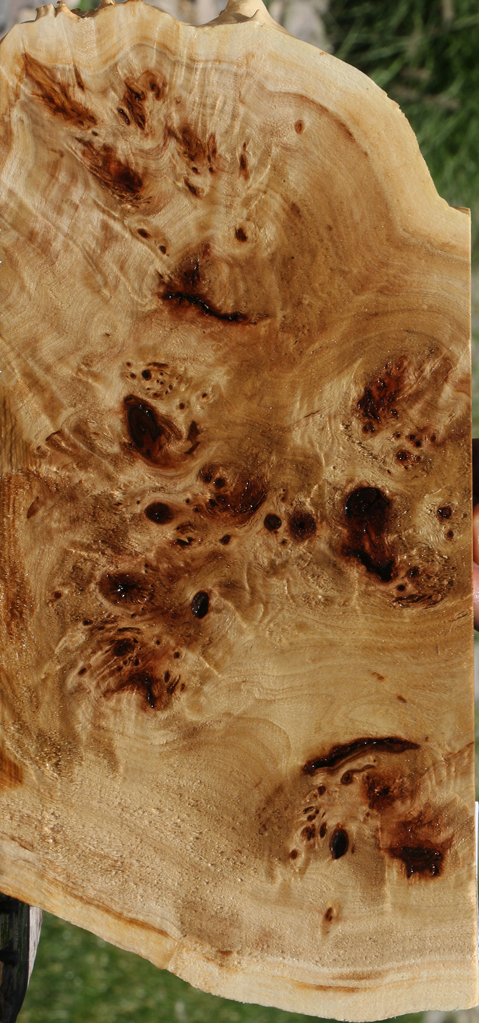 Extra Fancy Mappa Burl Live Edge Lumber