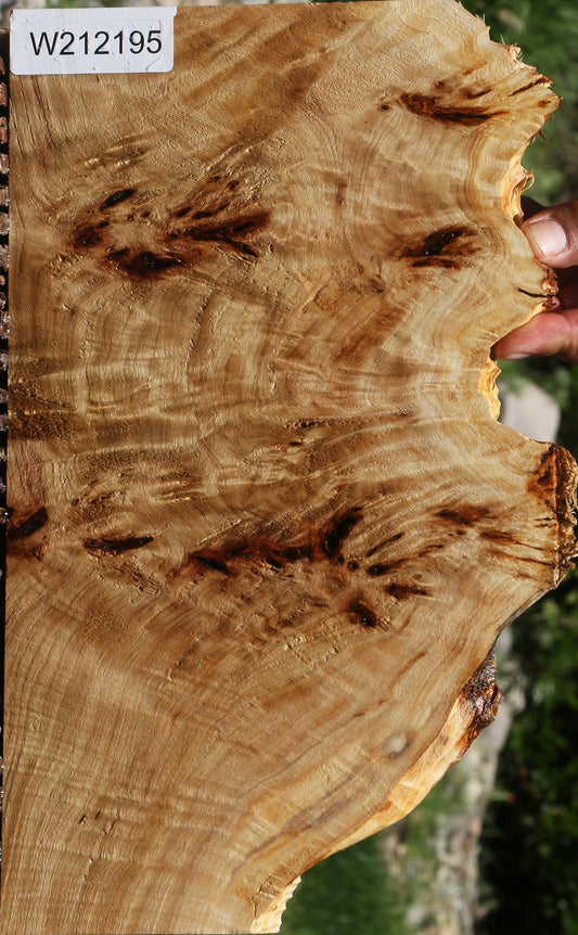 Extra Fancy Mappa Burl Live Edge Lumber