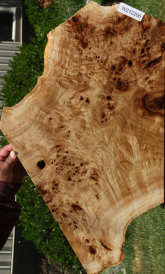 Extra Fancy Mappa Burl Live Edge Micro Lumber