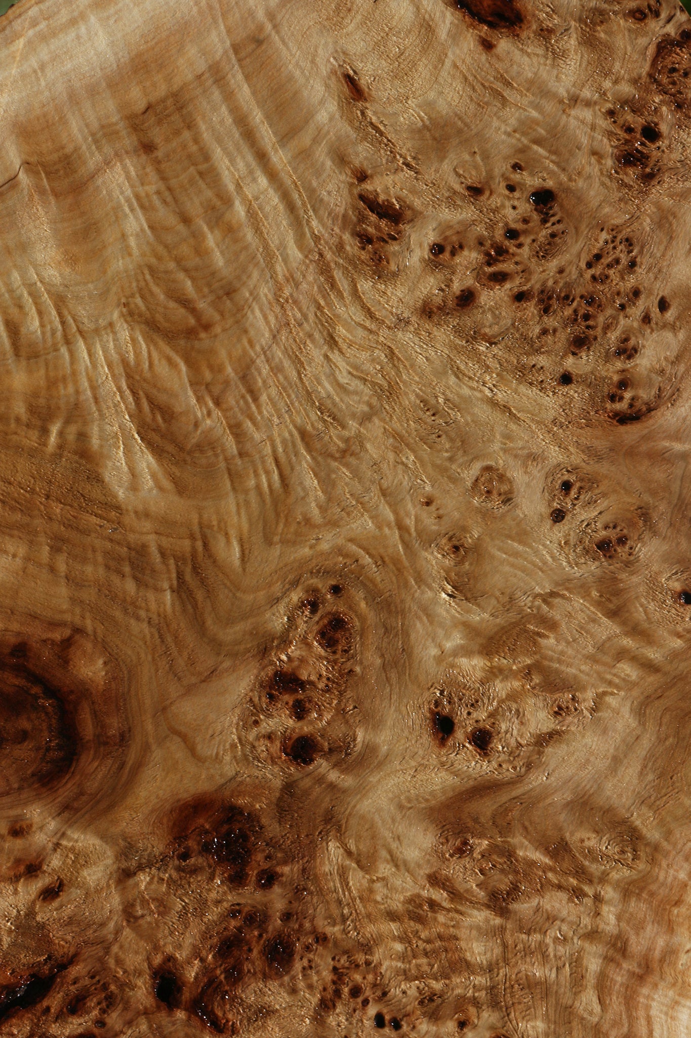 Extra Fancy Mappa Burl Live Edge Micro Lumber