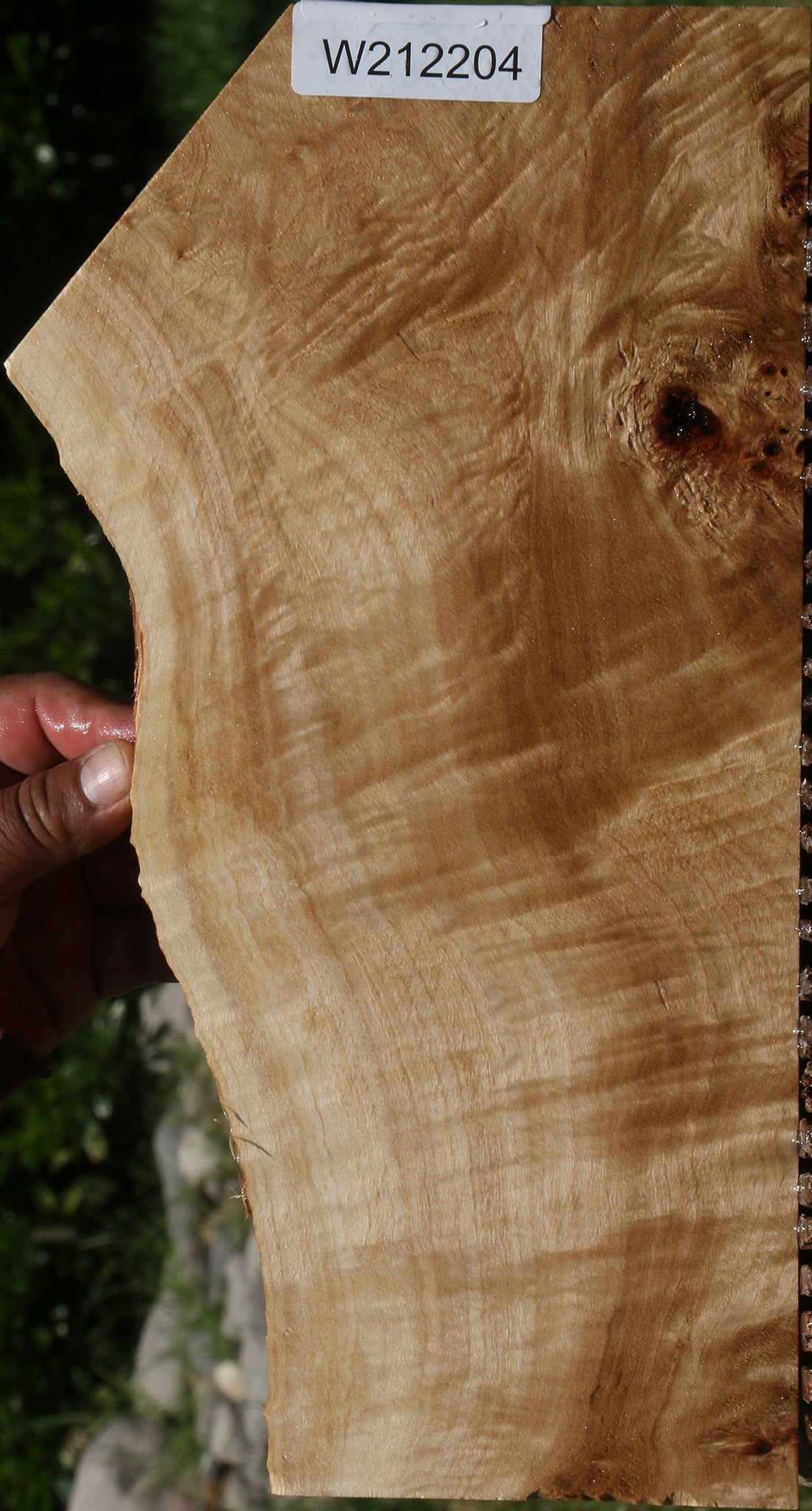 Extra Fancy Mappa Burl Live Edge Lumber