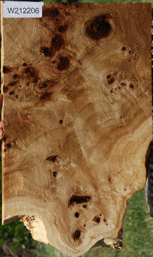 Extra Fancy Mappa Burl Live Edge Lumber