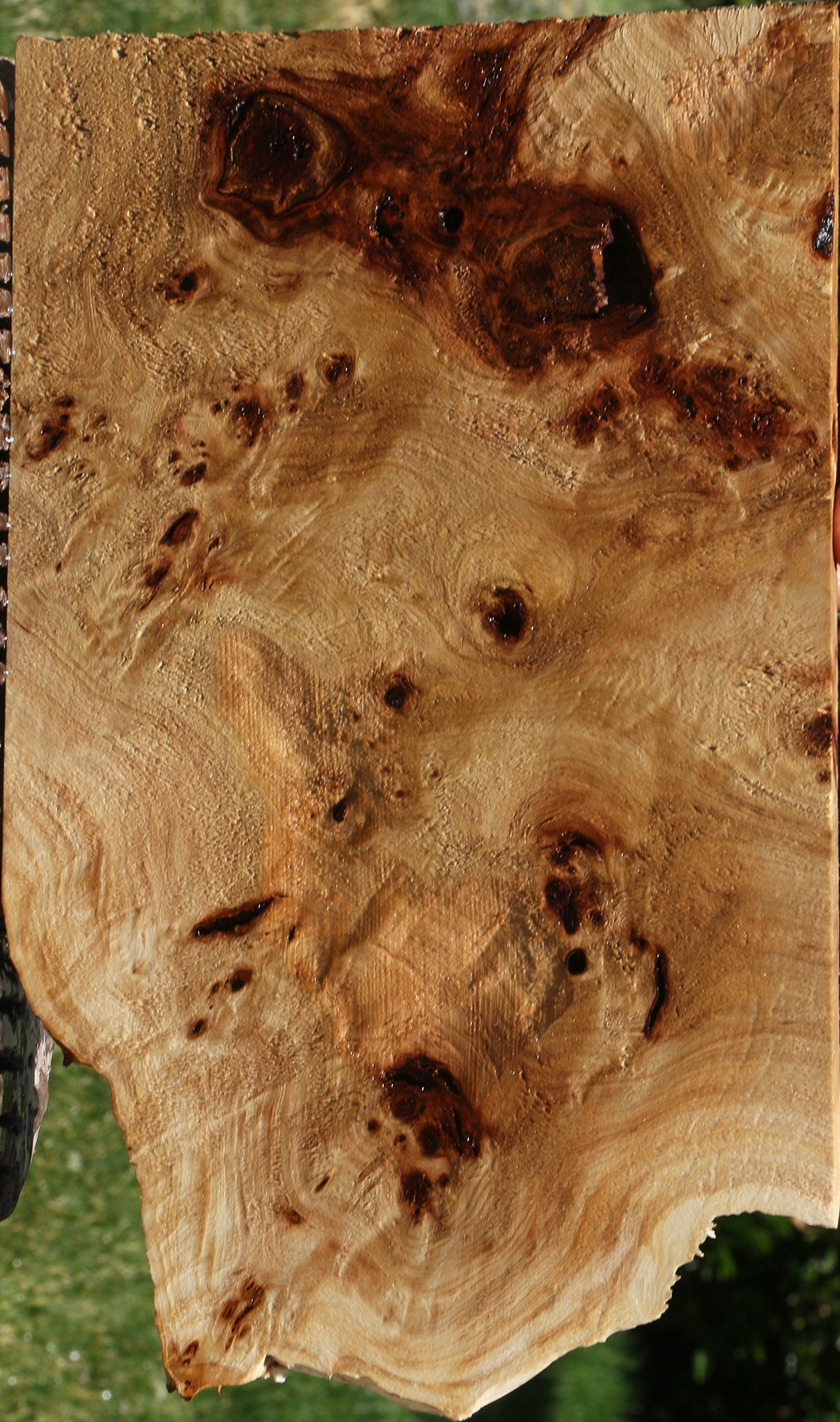 Extra Fancy Mappa Burl Live Edge Lumber