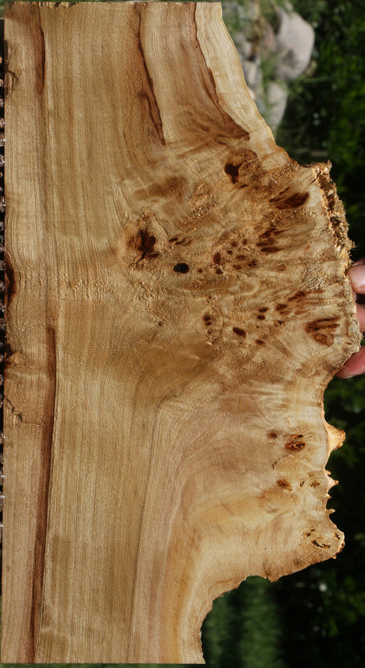 Extra Fancy Mappa Burl Live Edge Lumber