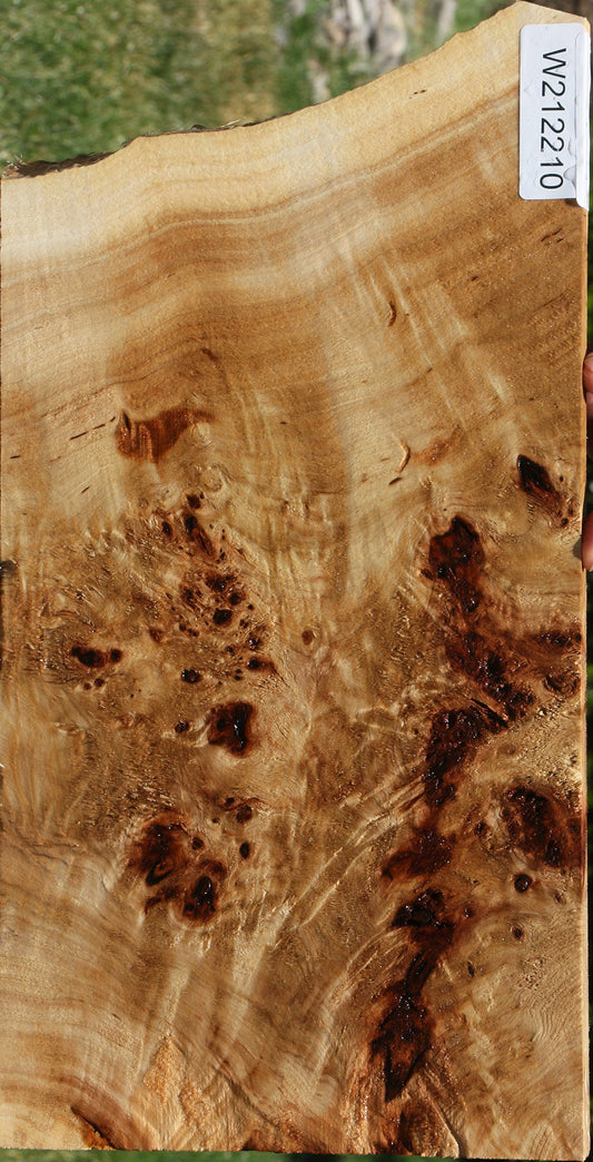 Extra Fancy Mappa Burl Live Edge Lumber