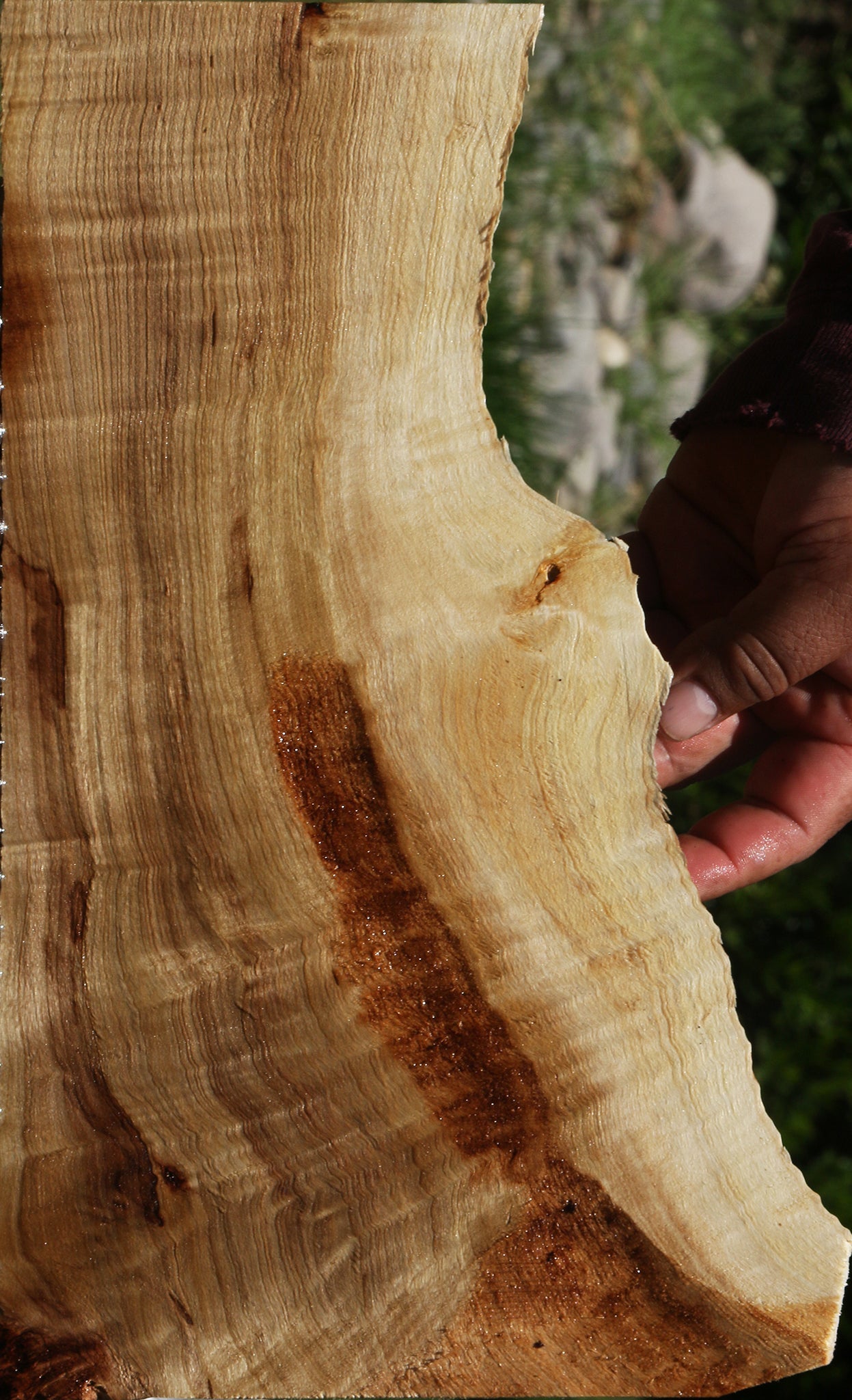 Figured Mappa Burl Micro Lumber