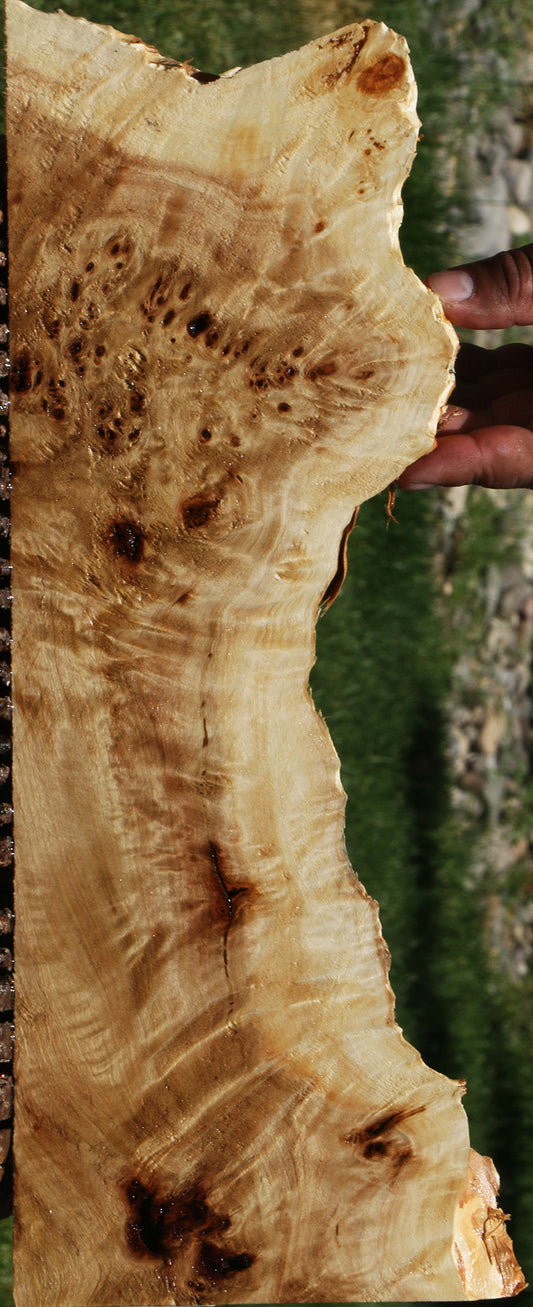 Extra Fancy Mappa Burl Live Edge Lumber