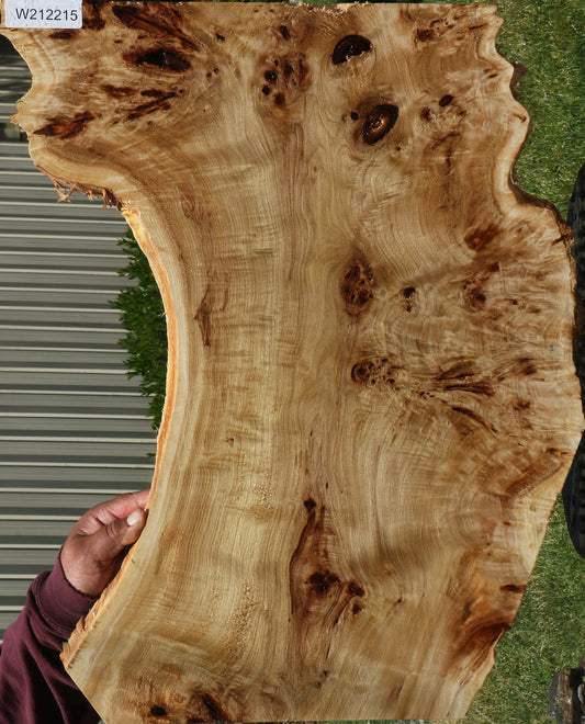 Extra Fancy Mappa Burl Live Edge Lumber