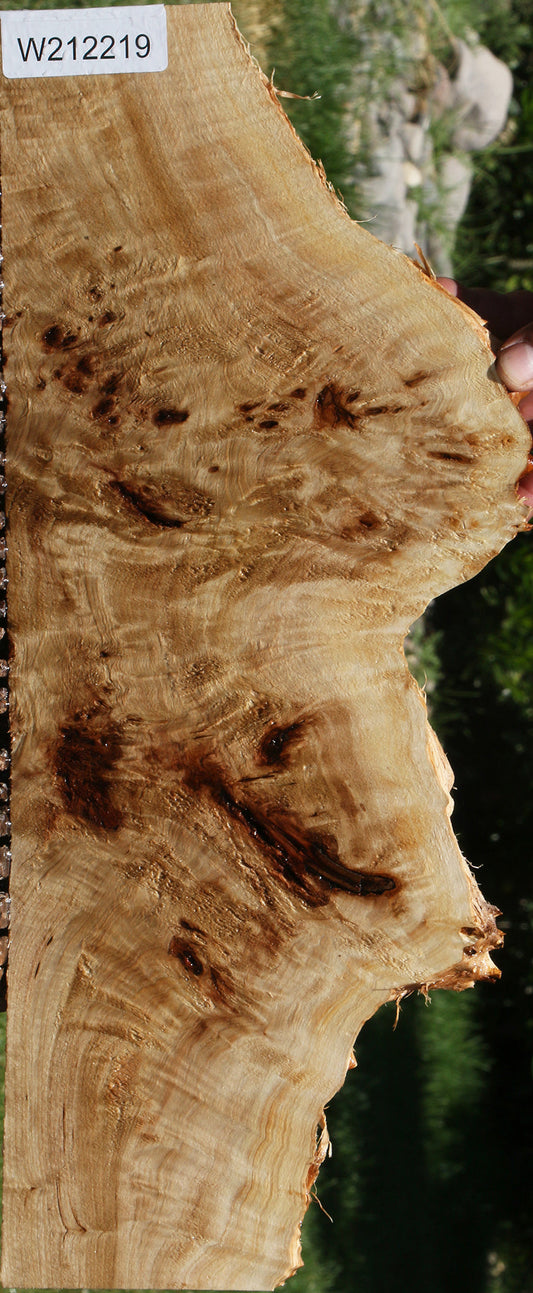 Extra Fancy Mappa Burl Live Edge Lumber