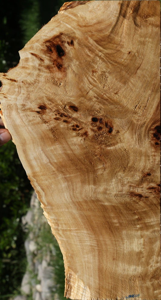 Extra Fancy Mappa Burl Live Edge Lumber