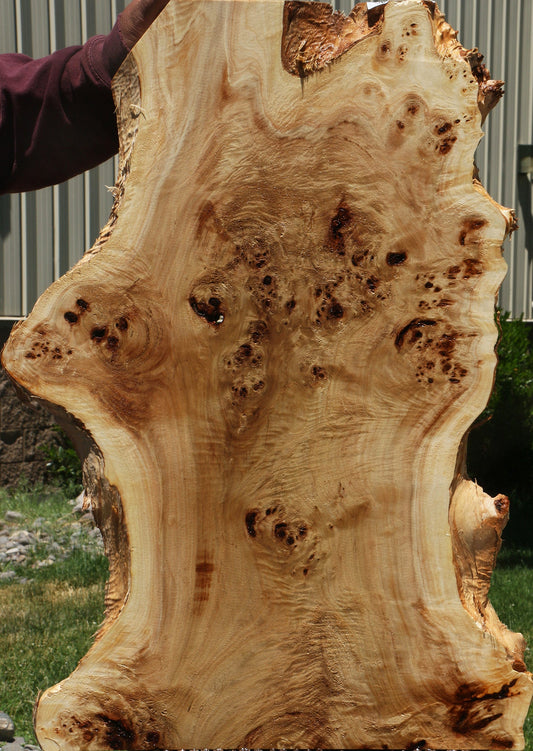 Extra Fancy Mappa Burl Live Edge Lumber