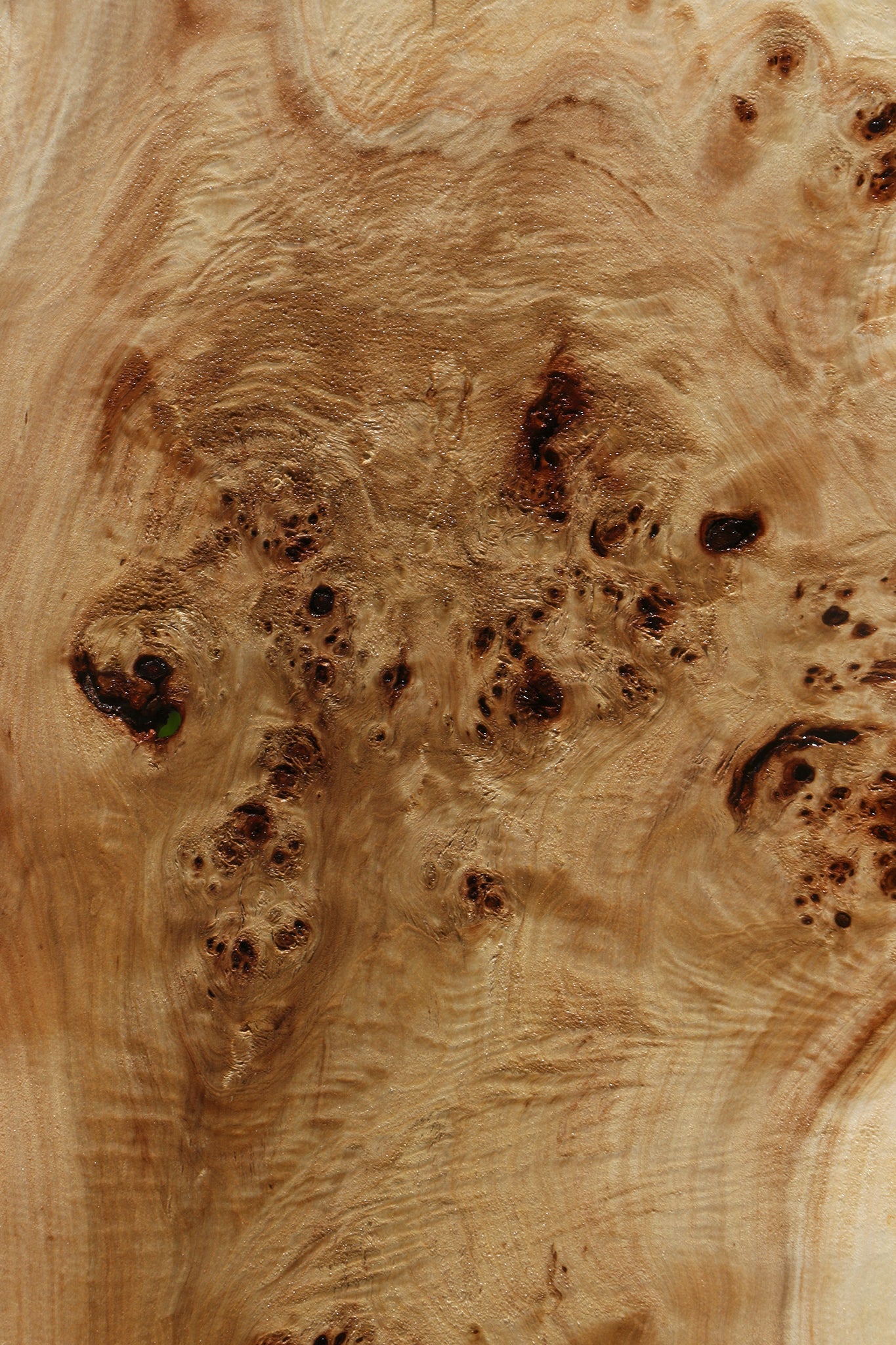 Extra Fancy Mappa Burl Live Edge Lumber