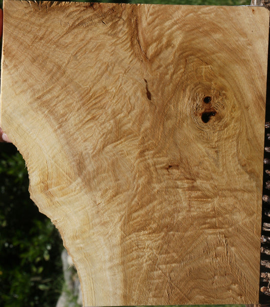 Extra Fancy Mappa Burl Lumber