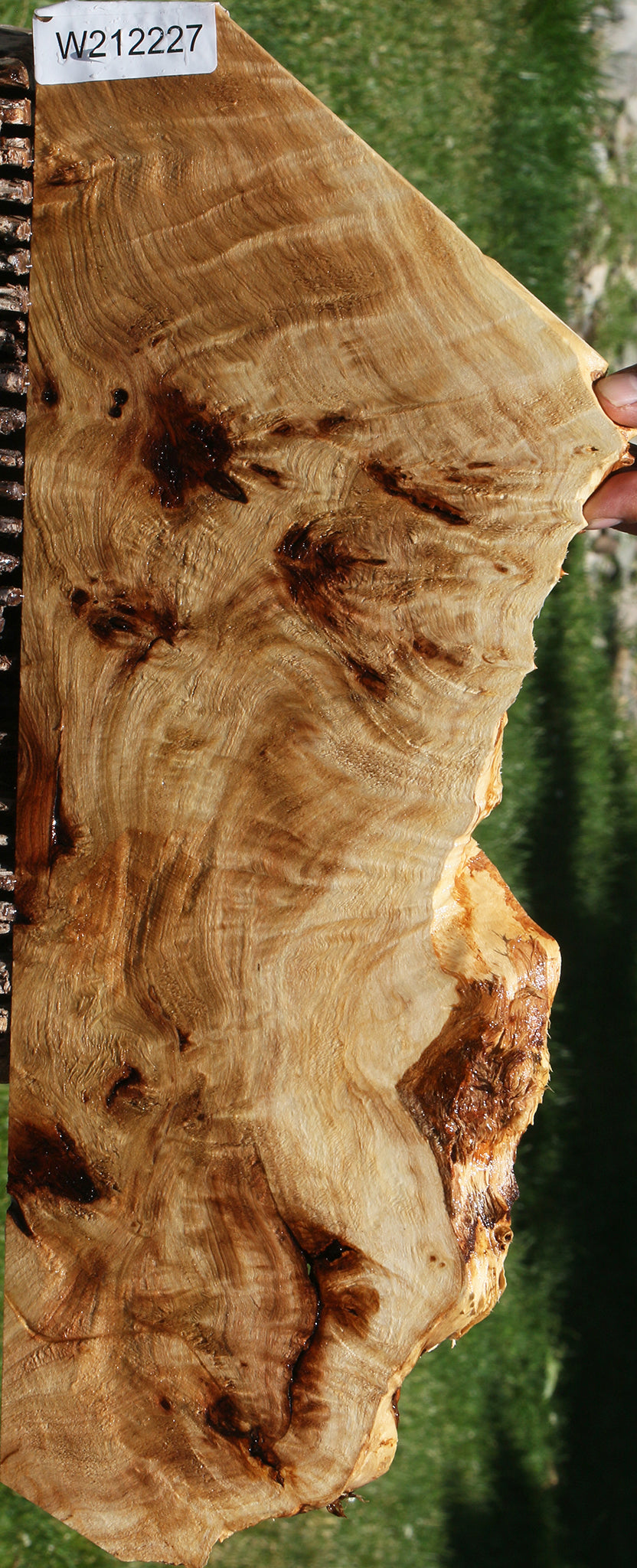 Extra Fancy Mappa Burl Live Edge Lumber