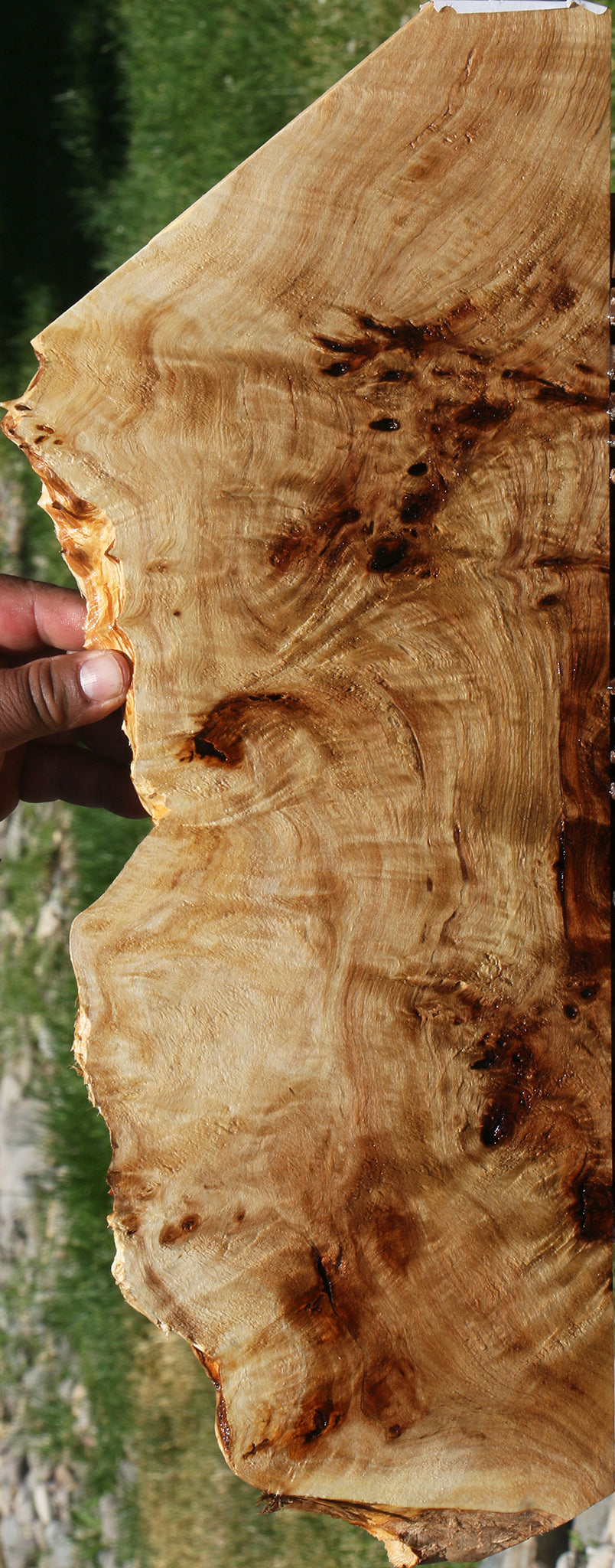 Extra Fancy Mappa Burl Live Edge Lumber