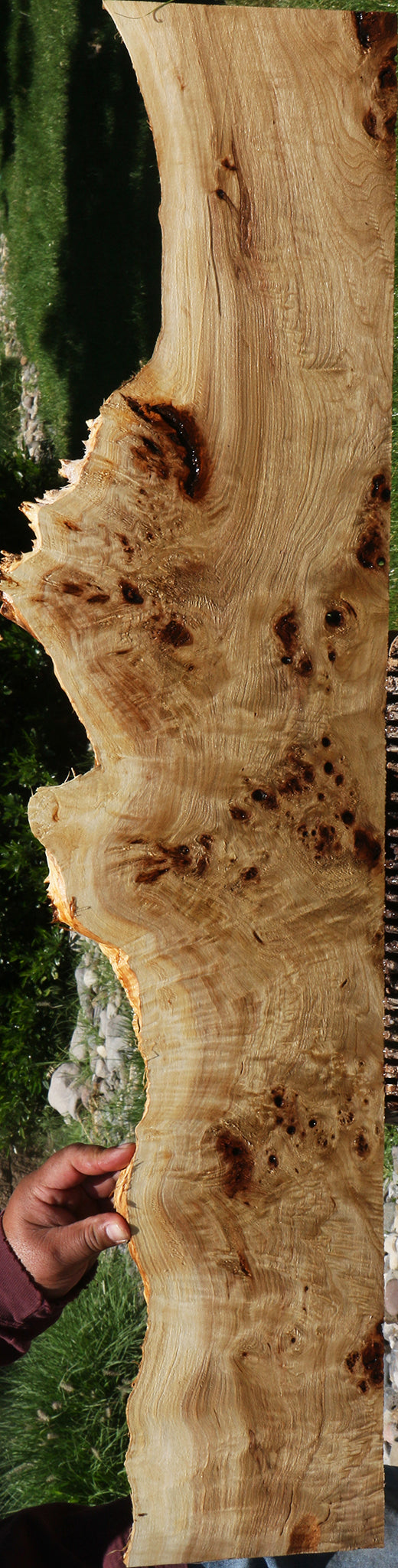 Extra Fancy Mappa Burl Live Edge Lumber