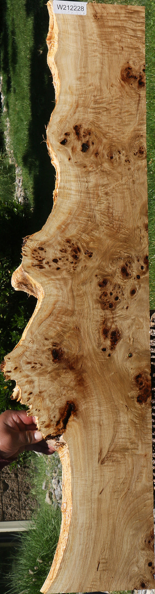 Extra Fancy Mappa Burl Live Edge Lumber