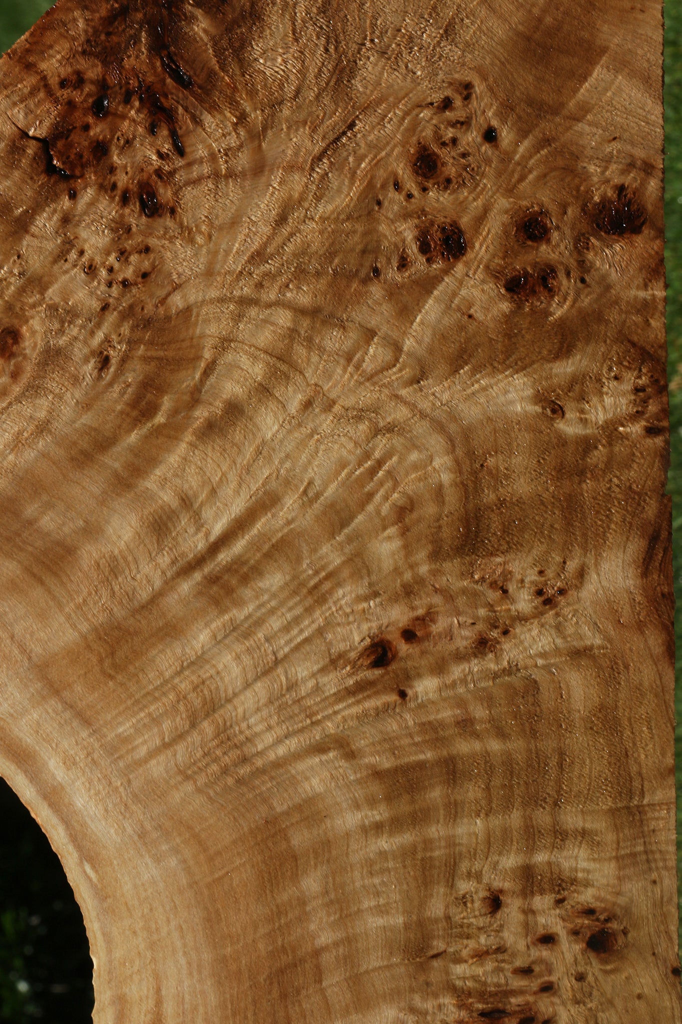 Extra Fancy Mappa Burl Live Edge Lumber