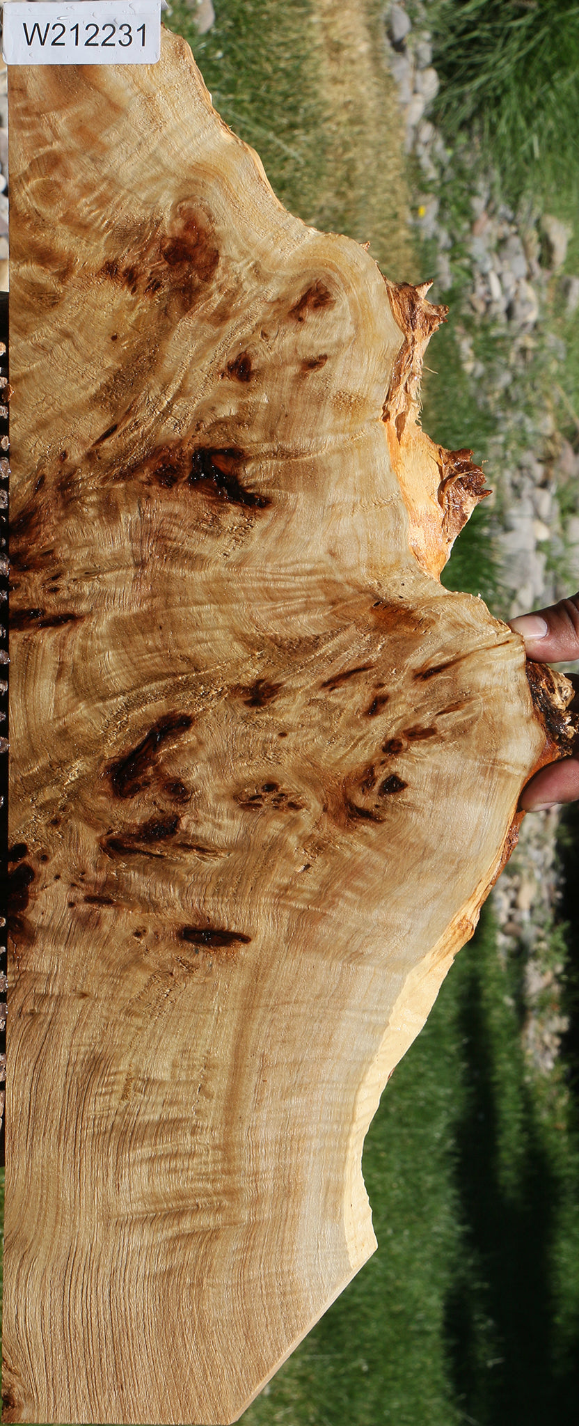 Extra Fancy Mappa Burl Live Edge Lumber