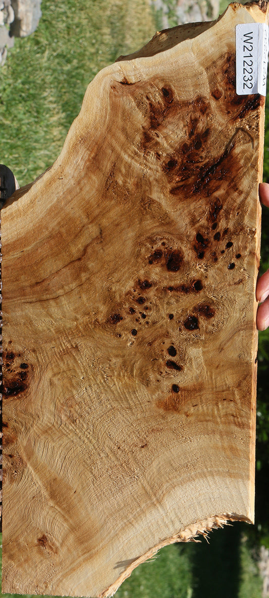 Extra Fancy Mappa Burl Lumber