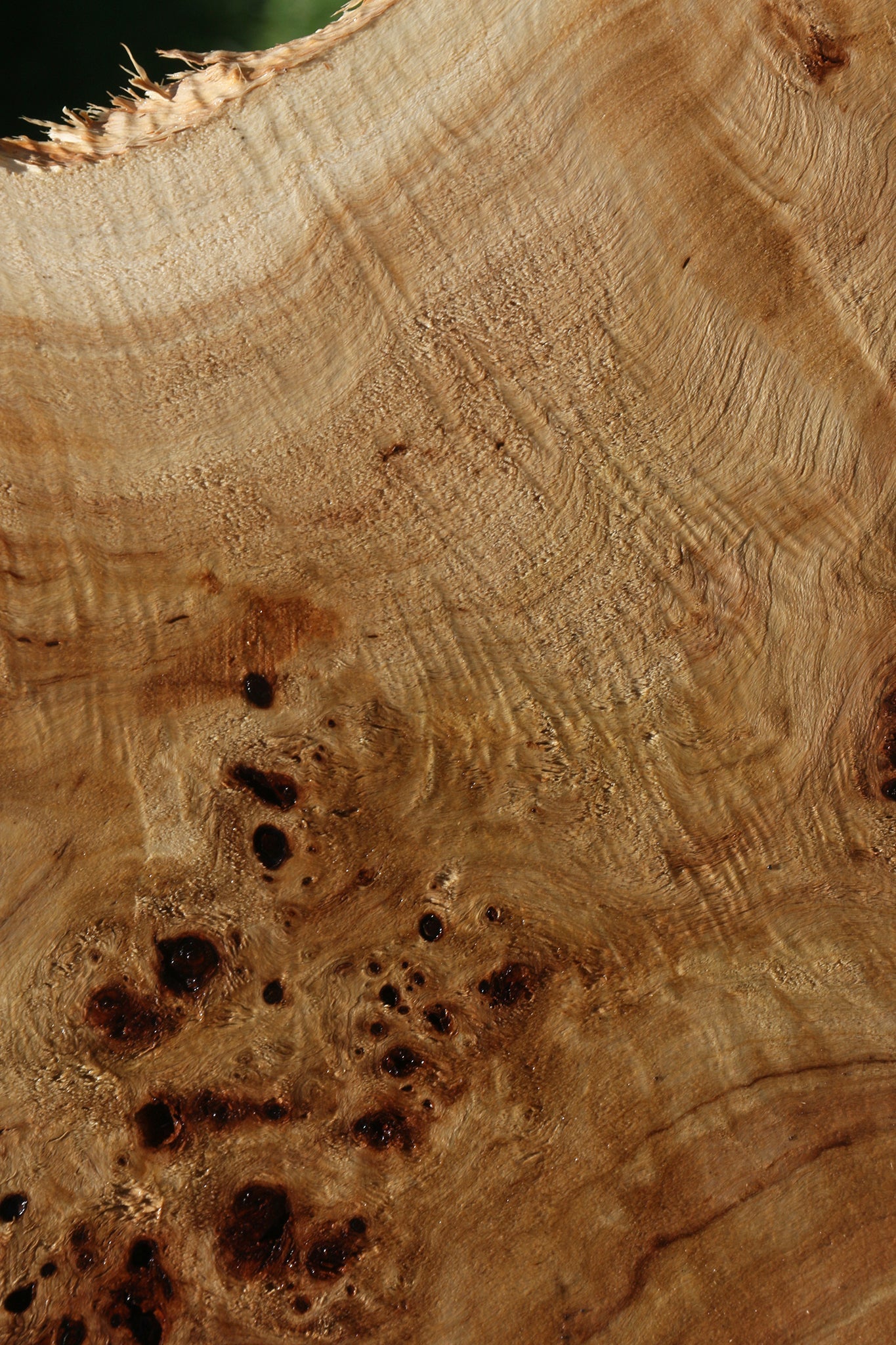 Extra Fancy Mappa Burl Lumber