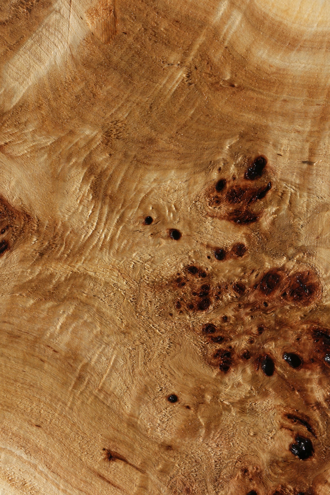 Extra Fancy Mappa Burl Lumber