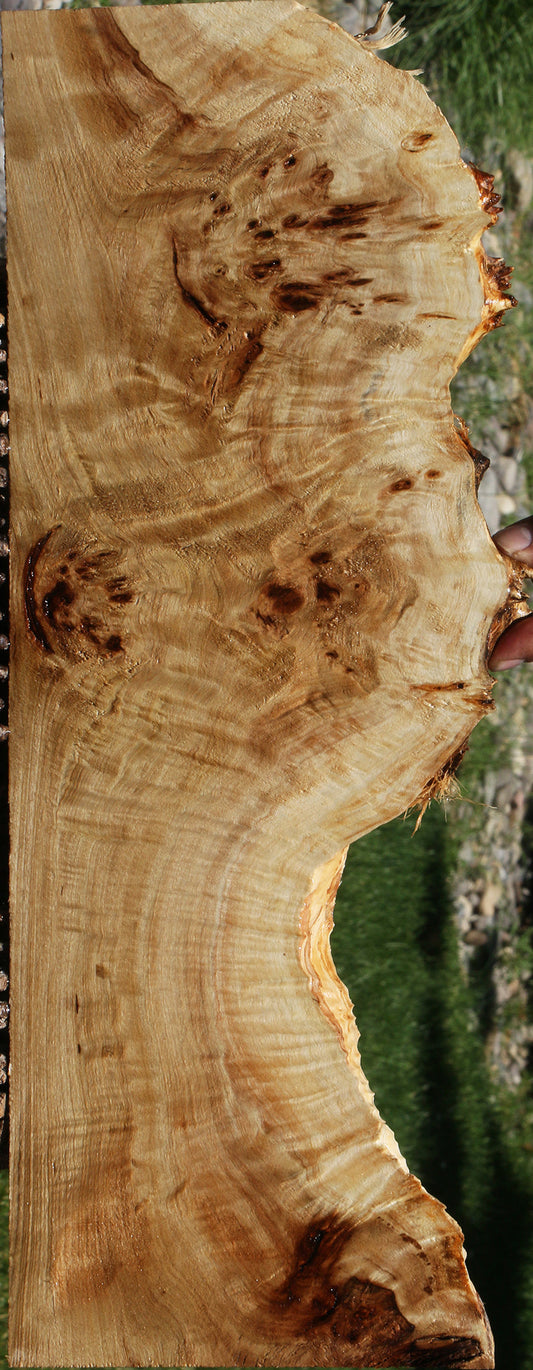 Extra Fancy Mappa Burl Live Edge Lumber