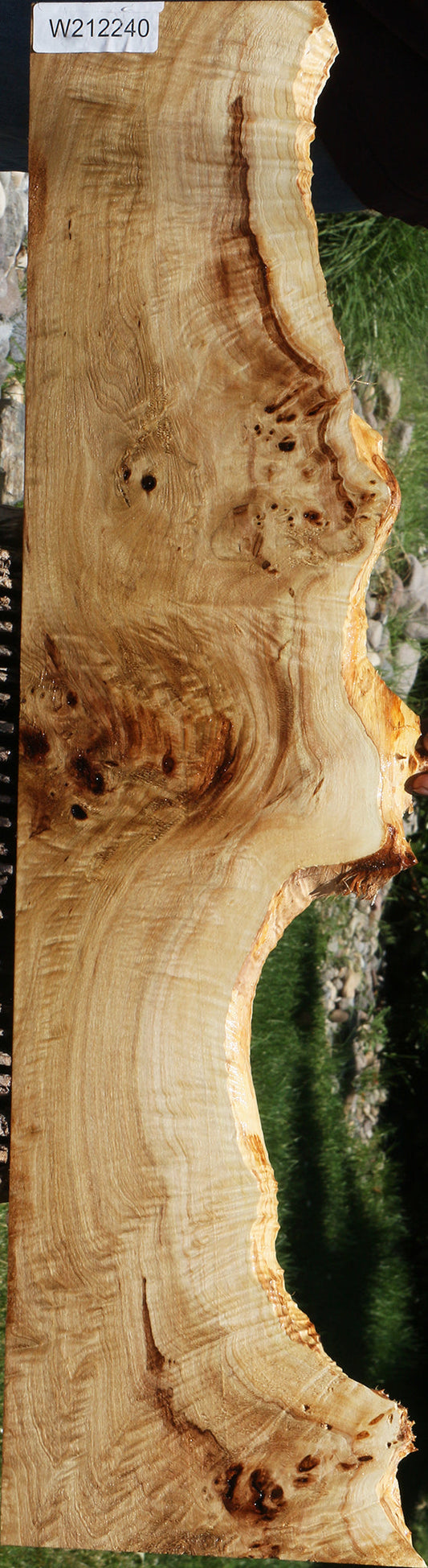 Extra Fancy Mappa Burl Live Edge Lumber