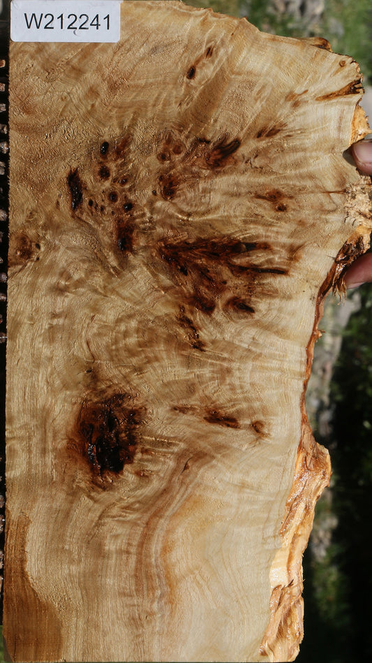 Extra Fancy Mappa Burl Live Edge Lumber